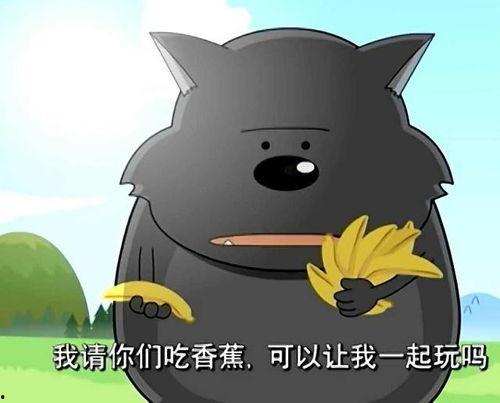 718黑瓜吃料小羊没烦恼,快乐成长之旅