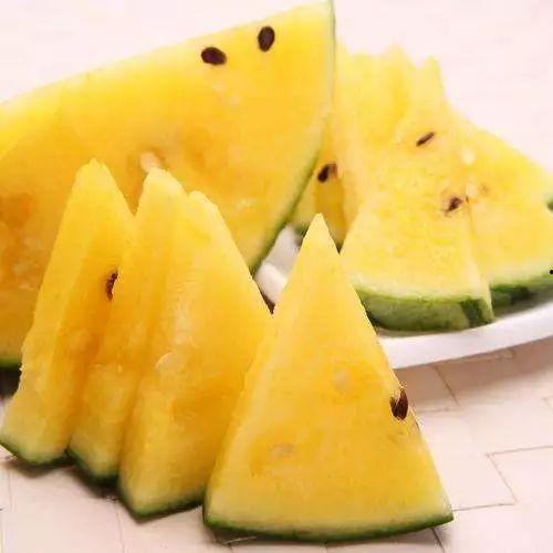 今日黑瓜吃料,揭秘今日热点事件背后的真相与内幕