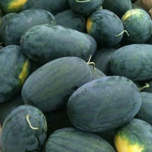 黑料吃瓜群密码,密码背后的神秘世界